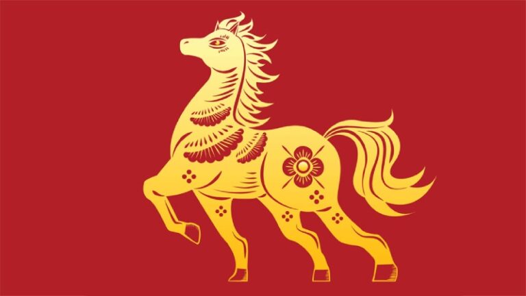 1978 рік якої тварини