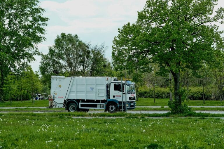 Вывоз строительного мусора: как организовать процесс правильно