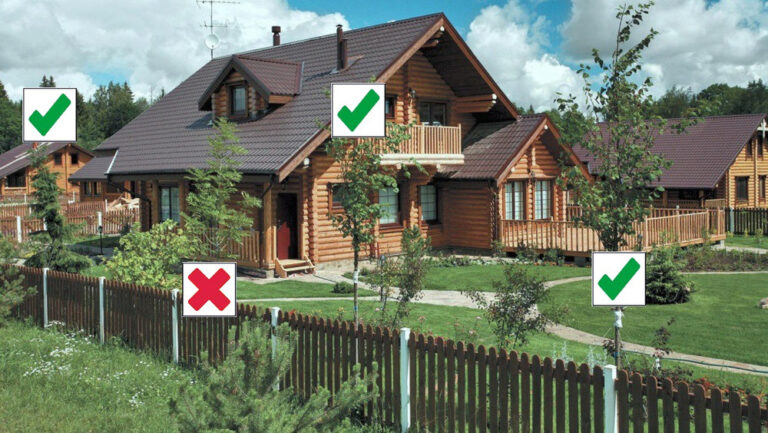 Чи можна садити ялівець біля хати: прикмети та правила