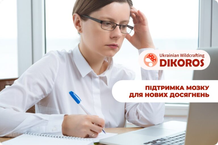 Їжовик гребінчастий і навчання – як підтримати мозок у періоди інтенсивної роботи